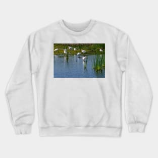 Congregation of Ibis In the Wetlands Crewneck Sweatshirt